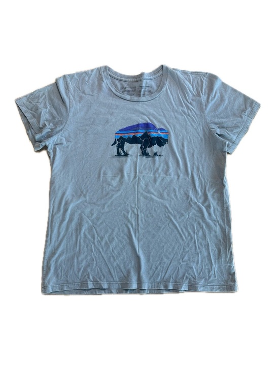 Patagonia Tops - Patagonia Womens Fitz Roy Bison Graphic T-shirt Gray Size M STY39372
